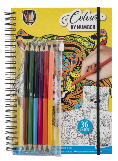 Paint by Numbers Coloring Set