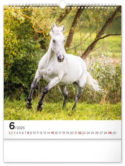 Wall Calendar Horses 2025