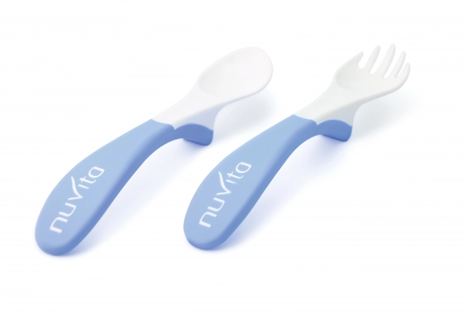 Blue Spoon and Fork Set