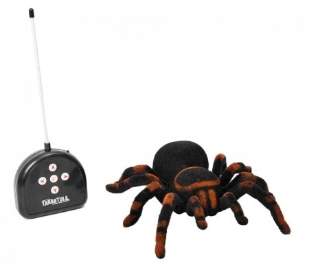 Remote Controlled Spider