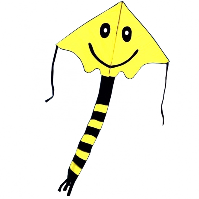 Flying Kite with Face Design