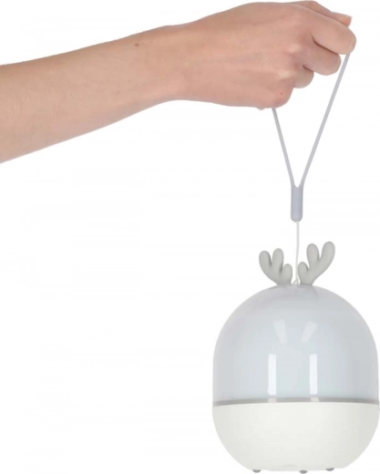 USB polnjenje in prenosna zasnova