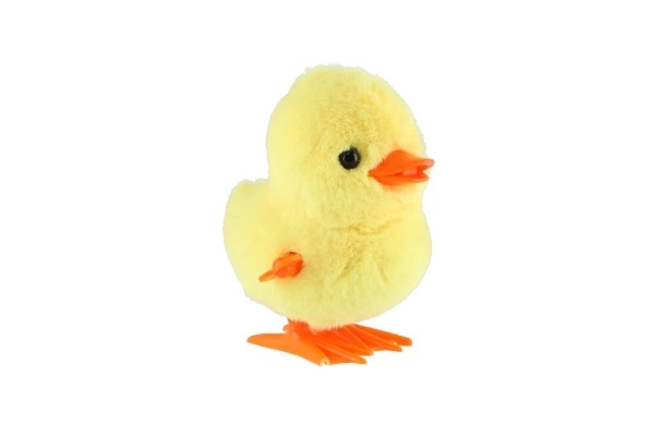 Wind-Up Duck Toy Set