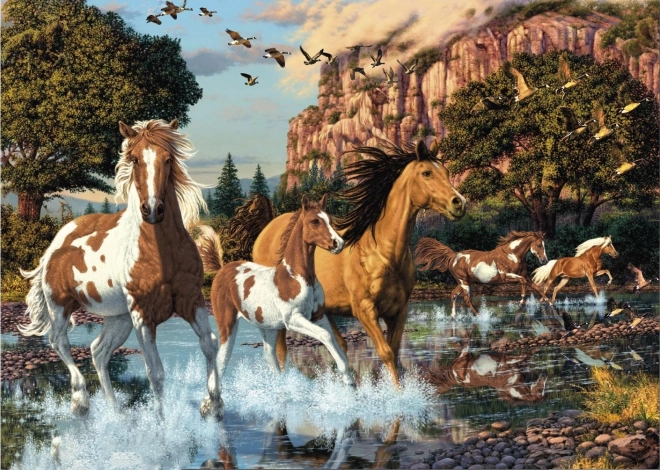 Dino Puzzle Secret Collection: Horses 1000 Pieces