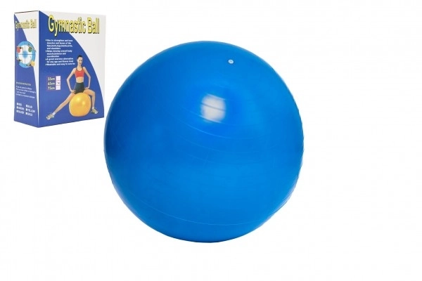 Gymnastic Ball for Rehabilitation and Relaxation