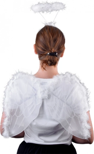 White angel wings with a subtle shimmer