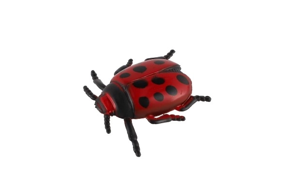 Realistic Insect Models Set