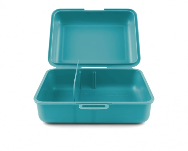 Butterfly Lunch Box