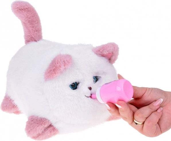 Interactive Cat Pusia