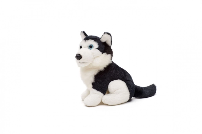 Plush Husky Toy