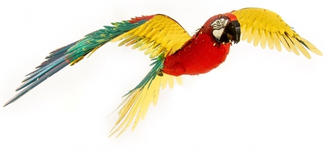 3D Metal Earth Puzzle Parrot