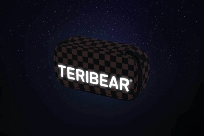 Baagl Pencil Case Teribear Skate