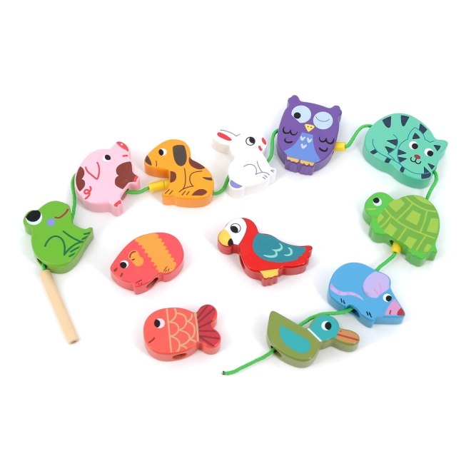 Colorful and fun animal shapes