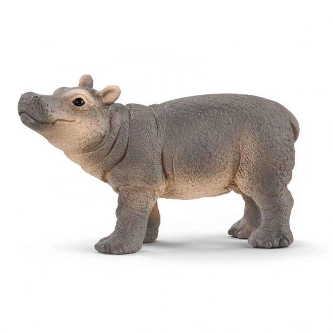 Baby Hippopotamus Figure Wild Life