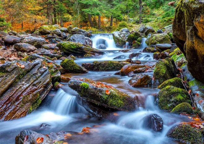 Enjoy Autumn Forest Stream Puzzle 1000 Pieces