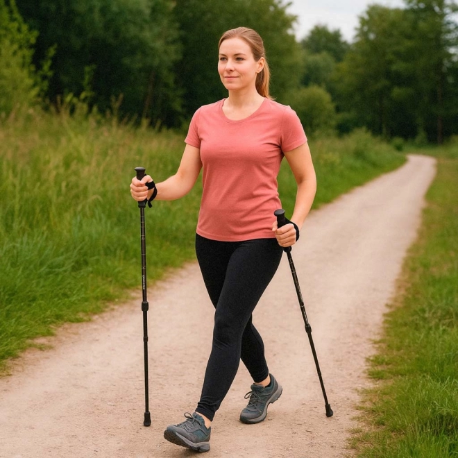 Sklopivi treking štapovi za nordijsko hodanje, crni, 2 kom