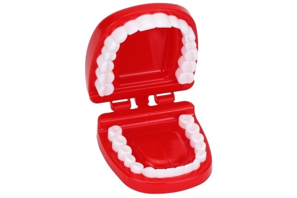 Dentist Play Set for Kids