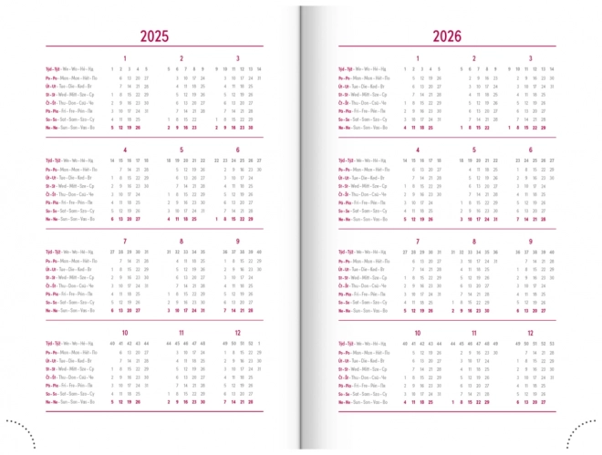 Daily Planner Aprint Neo 2025 Pink