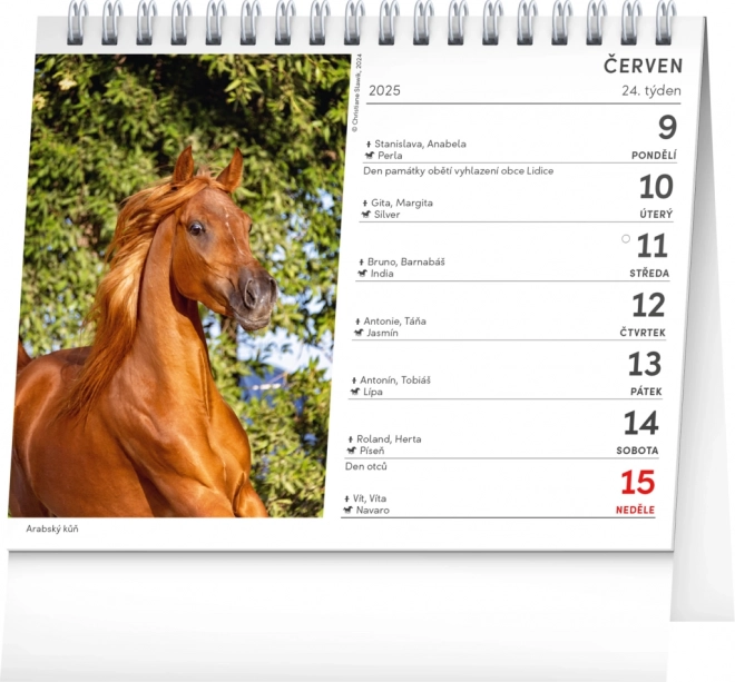 Notique Desk Calendar Horse Poetry 2025