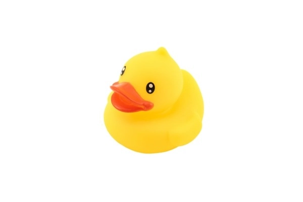 Rubber Bath Duck Toy Set