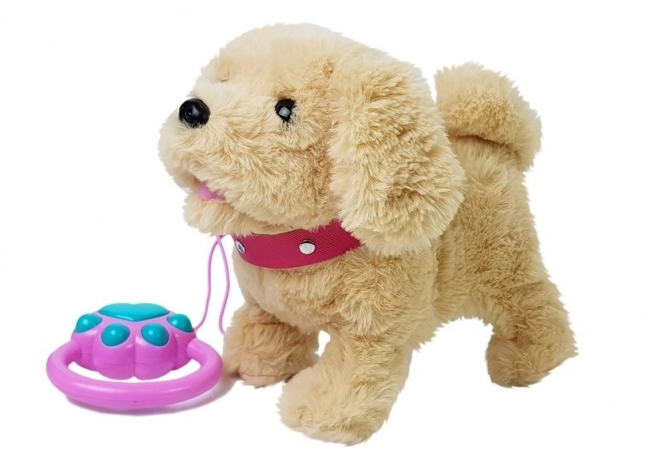 Plush Puppy on a Leash with Accessories