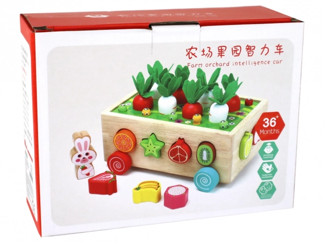 Wooden Carrot Patch Sorter for Kids