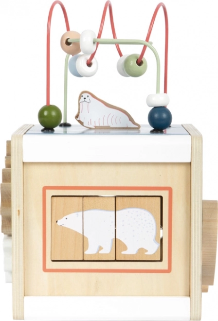 Motor Skills Cube Arctic Animals