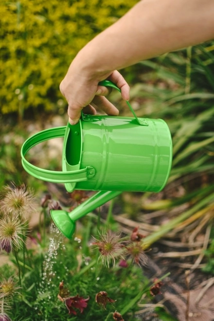 Green Metal Watering Can