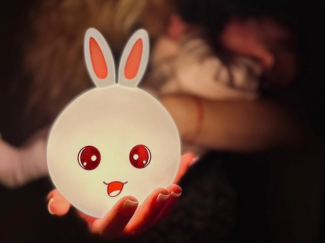 Night Light Bunny