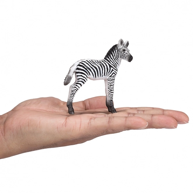 Mojo Zebra Foal