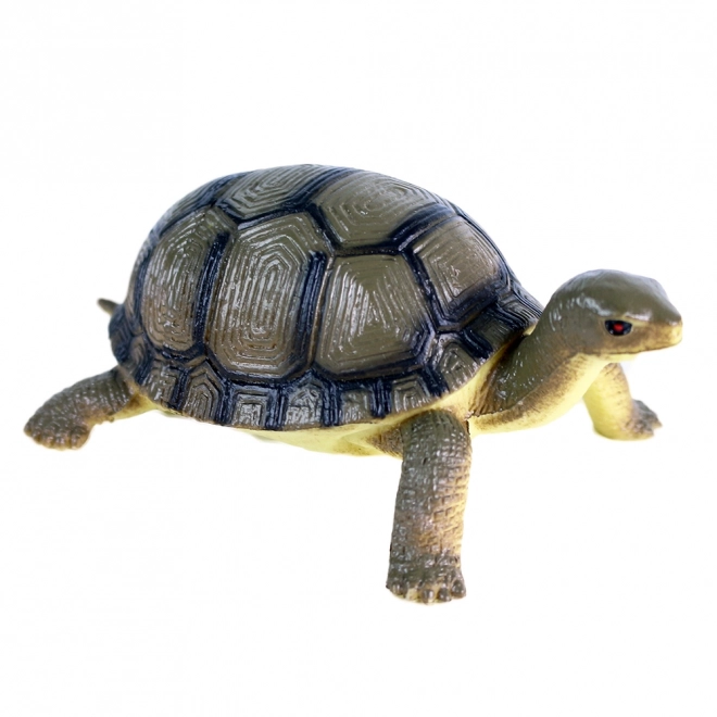 Plastic Turtle Toy