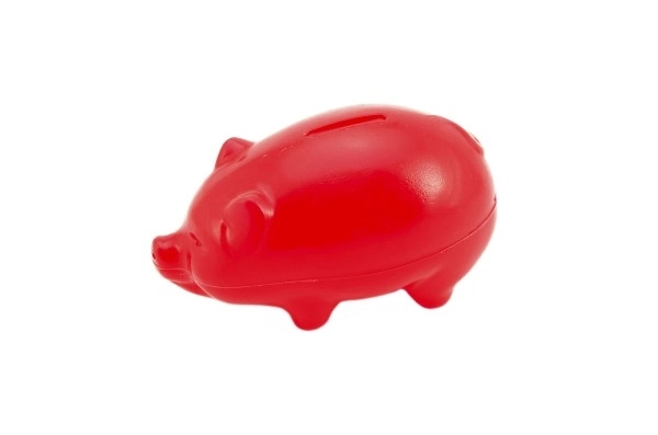 Large Piggy Bank