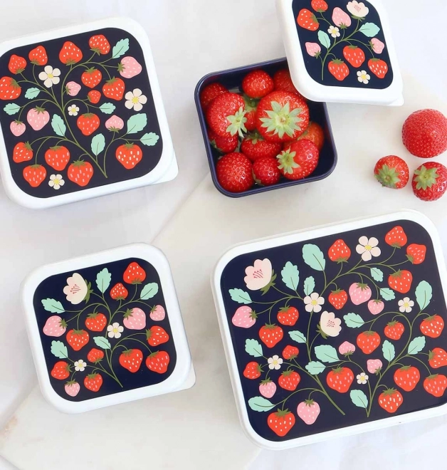 Set of Strawberry Lunch Boxes