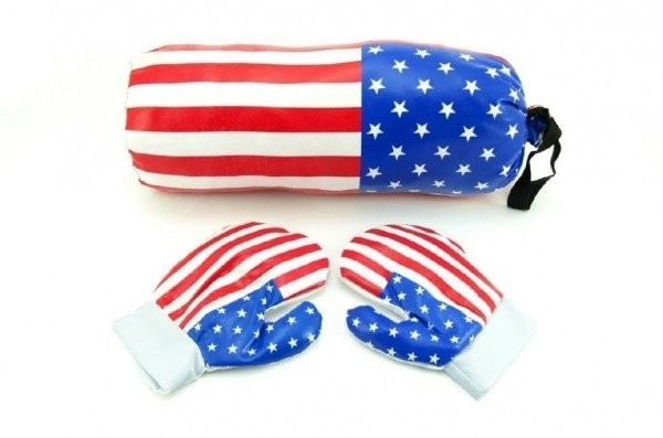 Punching Bag and Gloves