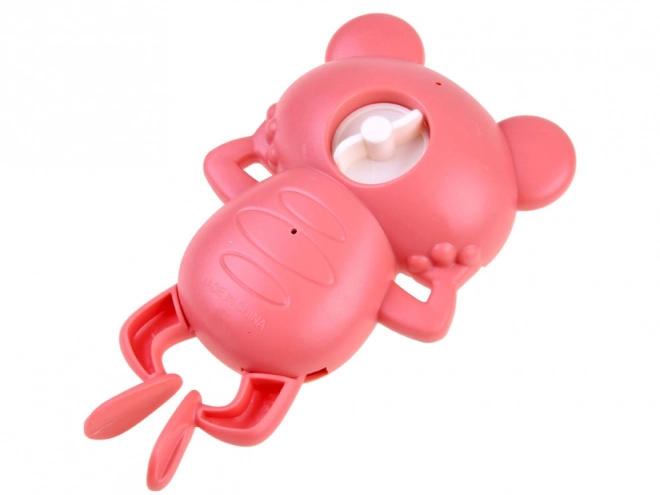 Wind-Up Floating Bath Frog Toy