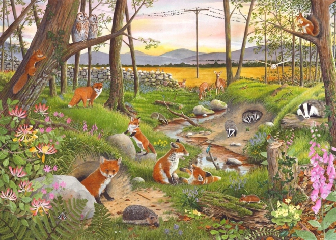 Puzzle Crépuscule d’été 250 pièces