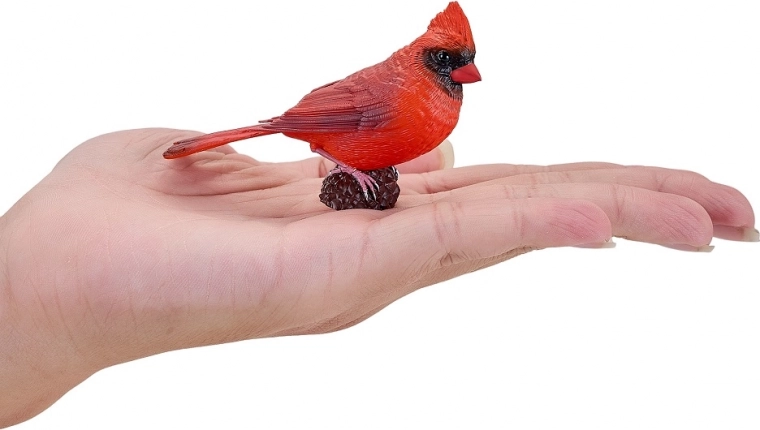 Compact size for play and collections