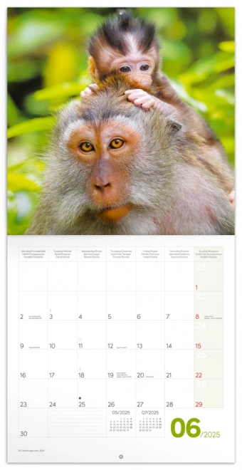 Notique Cute Animal Calendar 2025