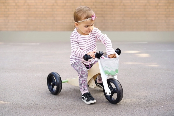 Tricycle Salvia Green Convertible Bike