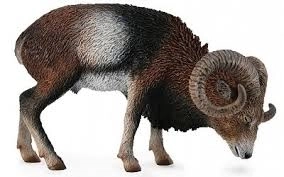 European Mouflon Figurine