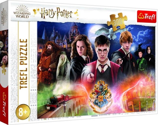 Mysterious Harry Potter 300 Piece Puzzle