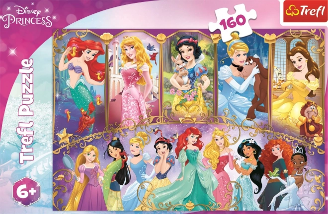 Princess Portraits 160 Piece Puzzle