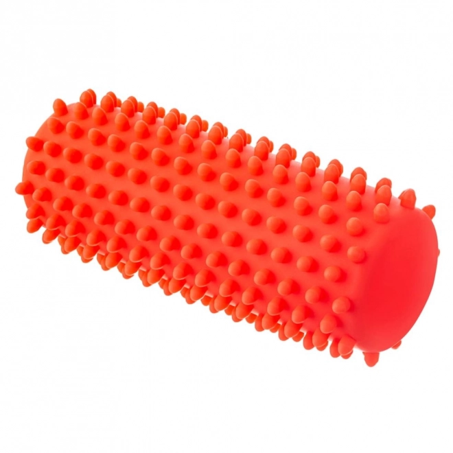 Massage and Rehabilitation Roller Red