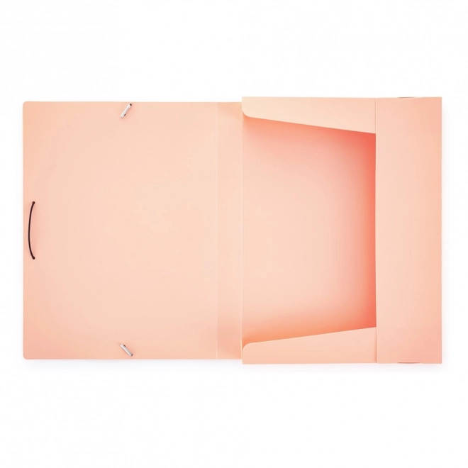 Document storage box with elastic band A4 peach