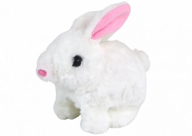 Interactive Walking Bunny Toy