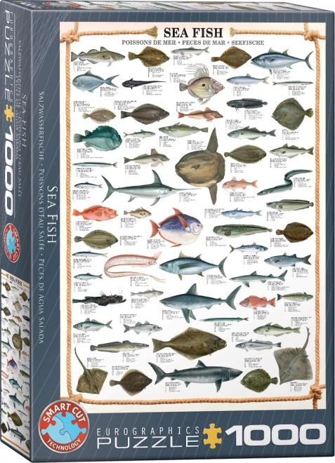 Puzzle Pesci Marini 1000 Pezzi