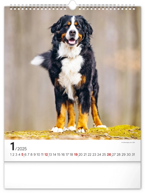 Notique Wall Calendar Dogs 2025