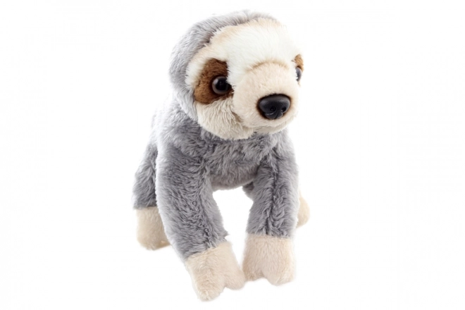 Plush Sloth Eco-Friendly