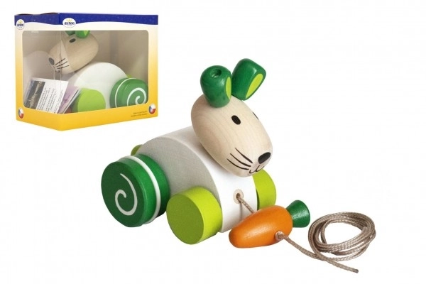 Detoa rabbit with carrot pull-along toy