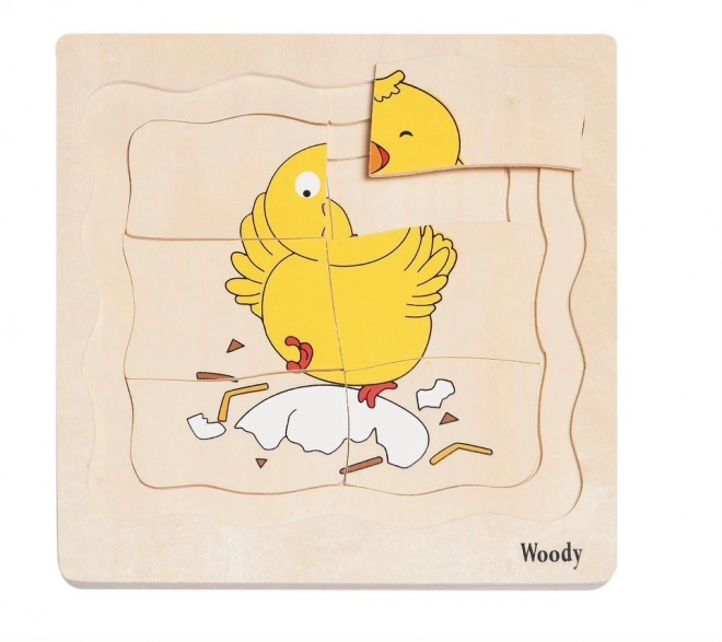 Layered Chicken Life Puzzle